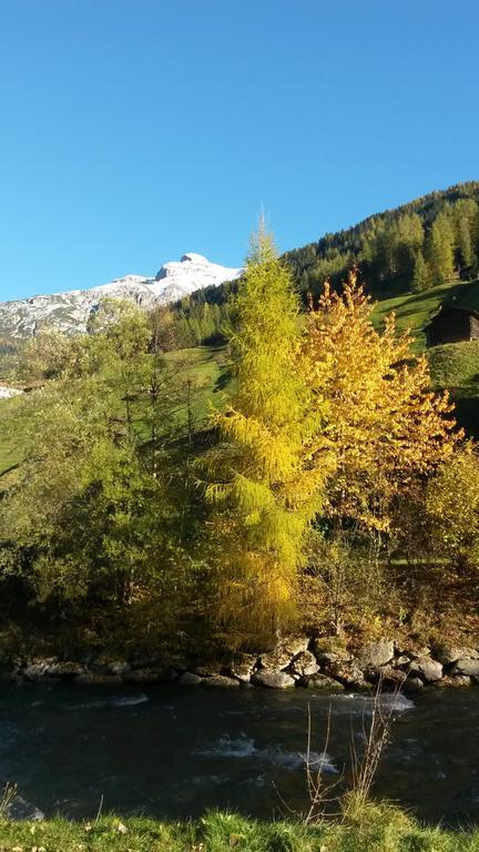 Ferienwohnung Haus Harbauer Neustift im Stubaital Exterior foto