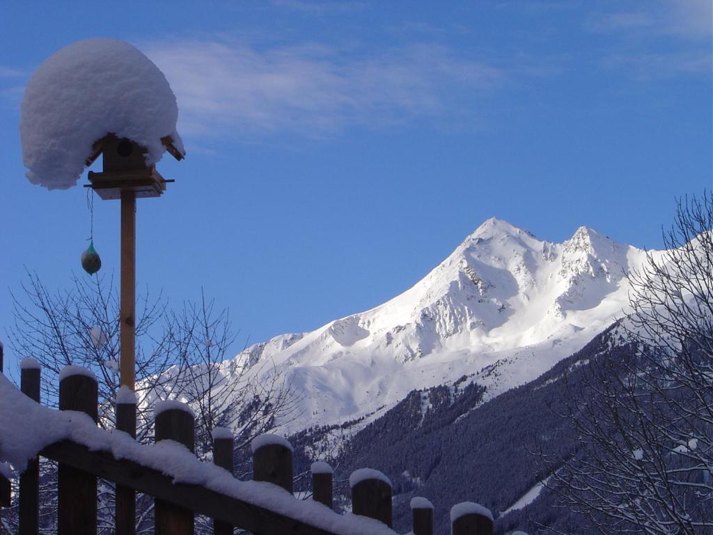 Ferienwohnung Haus Harbauer Neustift im Stubaital Exterior foto